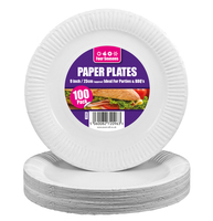 Paper plates-pk100x23cm (9")