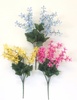 Forsythia mix bush-3 astd colours
