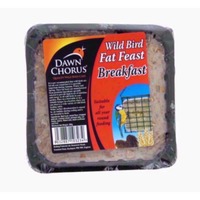 Wild bird fat feast breakfast