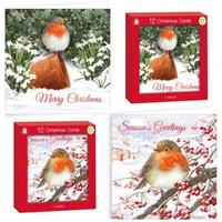 Traditional robin Christmas cards-12 square