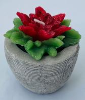 Poinsetta candle in pot