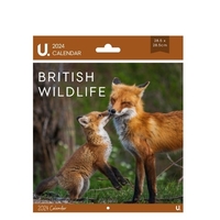 Square calendar-28.5x28.5cm-British wildlife-2024